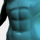 MG: abdomen; venter; stomach; belly